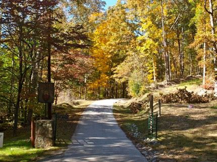 road_to_mikell_med
