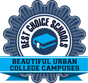 colleges in city