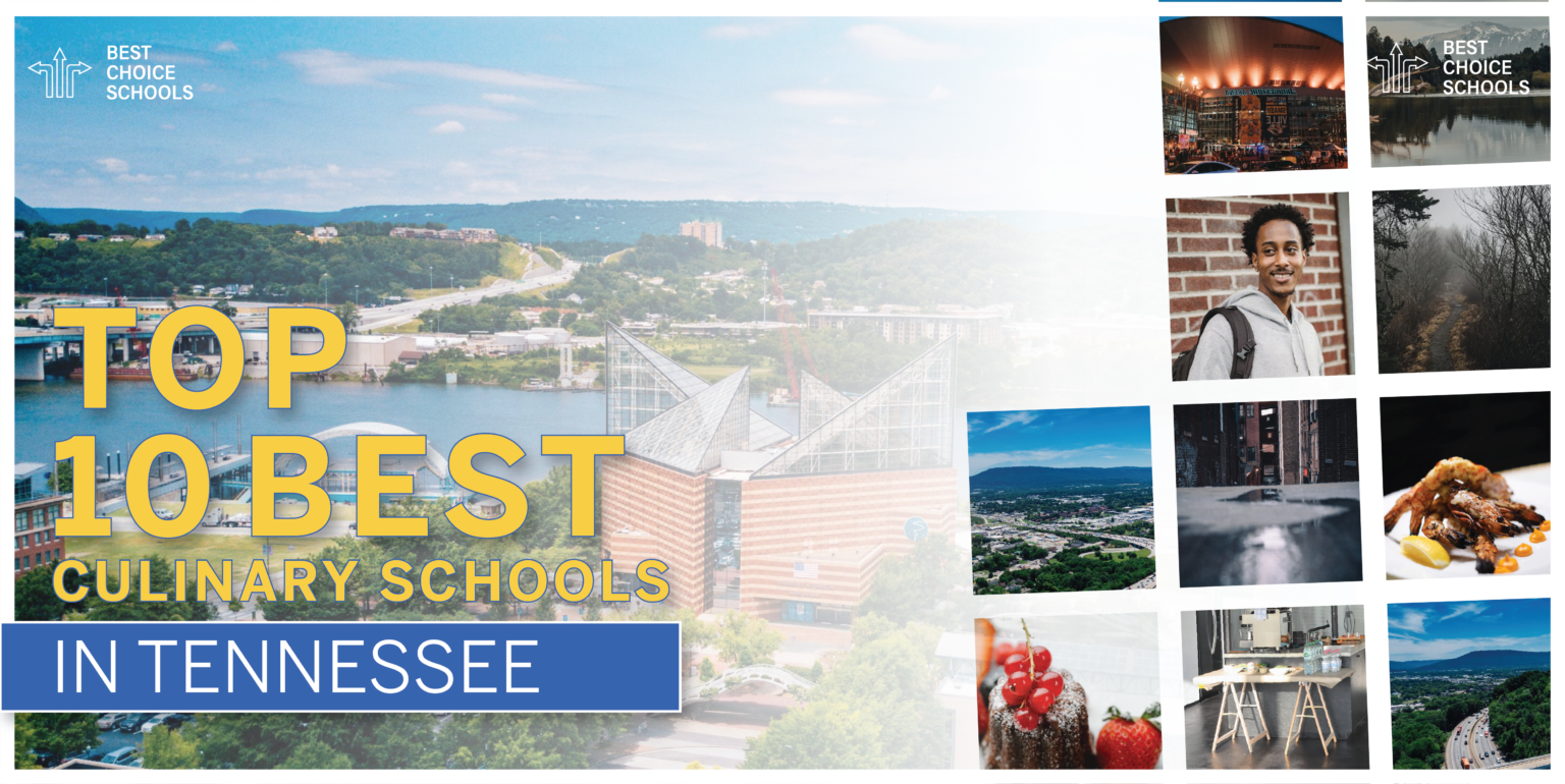 Top 10 Best Culinary Schools in Tennessee 2021 Best Choice Schools