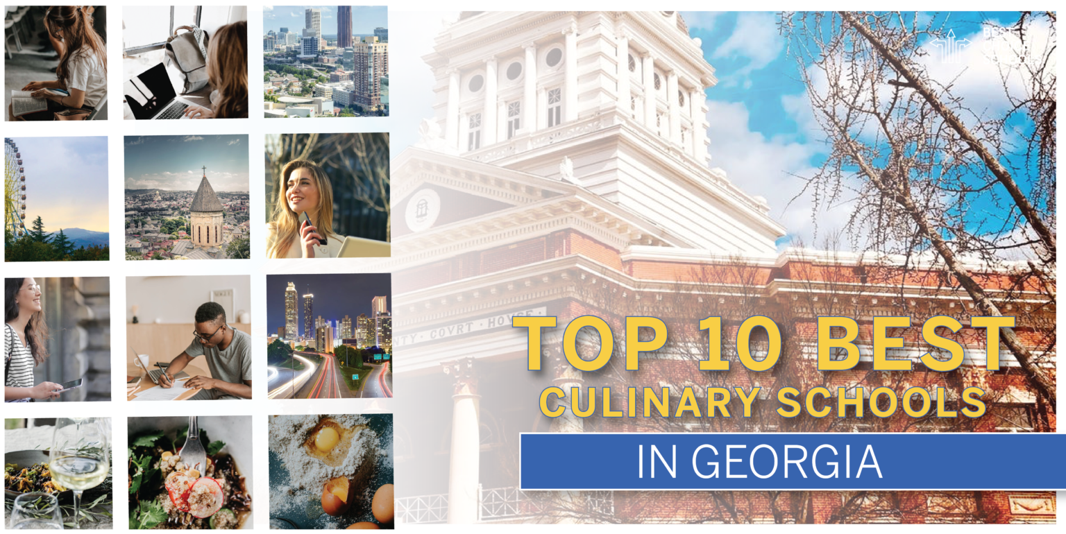 Top 10 Best Culinary Schools in 2021 Best Choice Schools