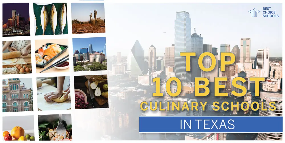 Top 10 Culinary Schools graphic