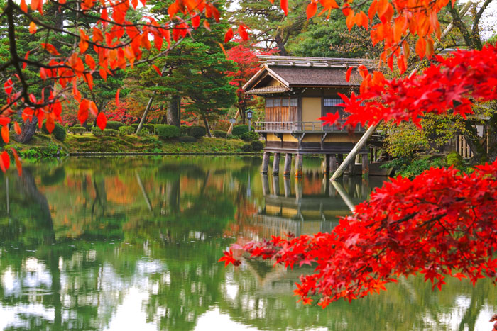 temple over water with red leaves in foreground