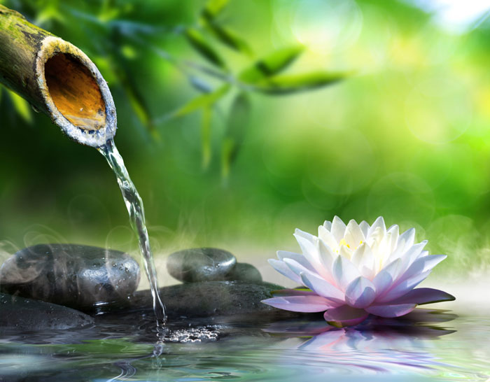 bamboo water fountain