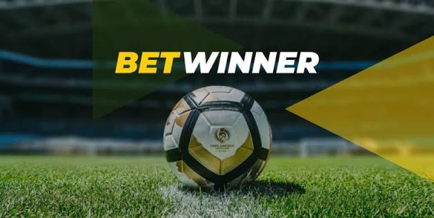 Comprehensive Guide to BetWinner Deposit Options 911242989